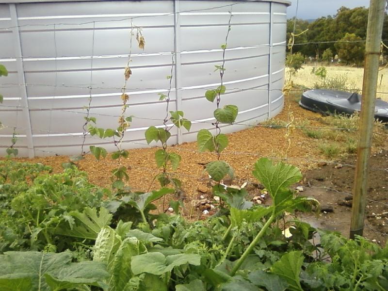 Photo0056 (Medium).jpg