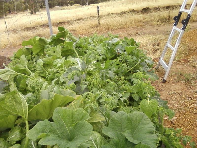 Photo0057 (Medium).jpg