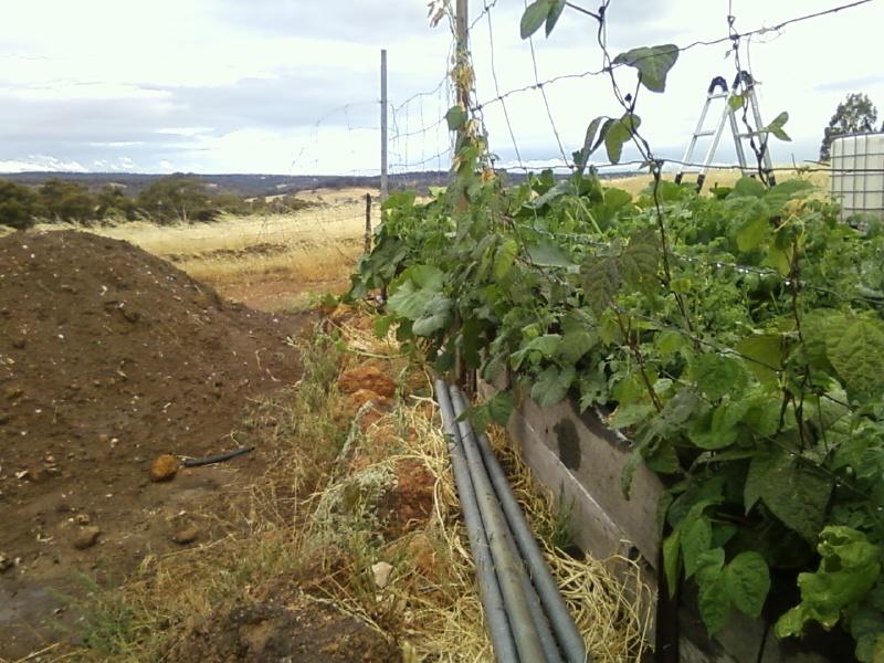 Photo0059 (Medium).jpg