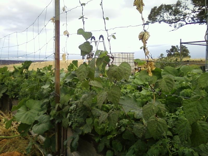 Photo0060 (Medium).jpg