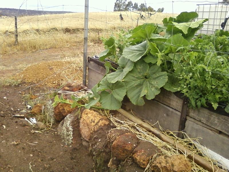 Photo0061 (Medium).jpg