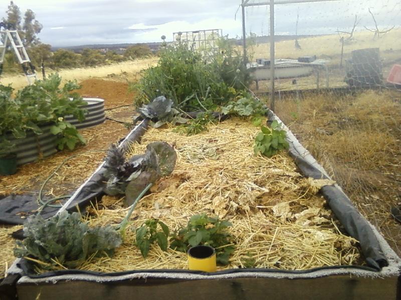 Photo0043 (Medium).jpg