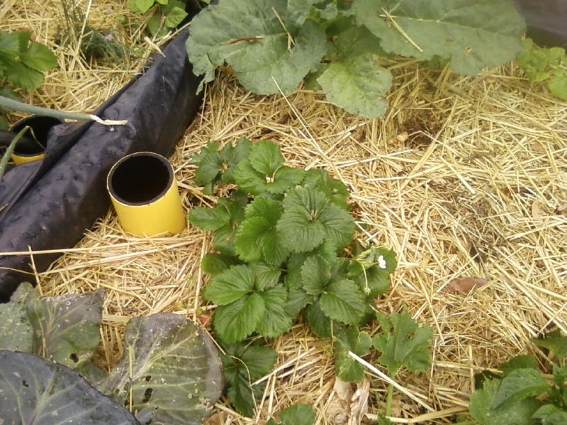 Photo0051 (Medium).jpg