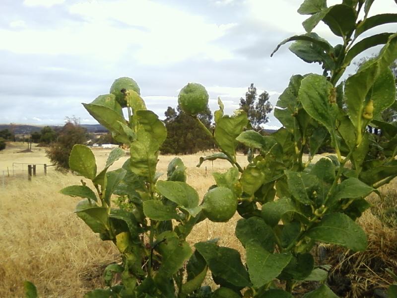 Photo0071 (Medium).jpg