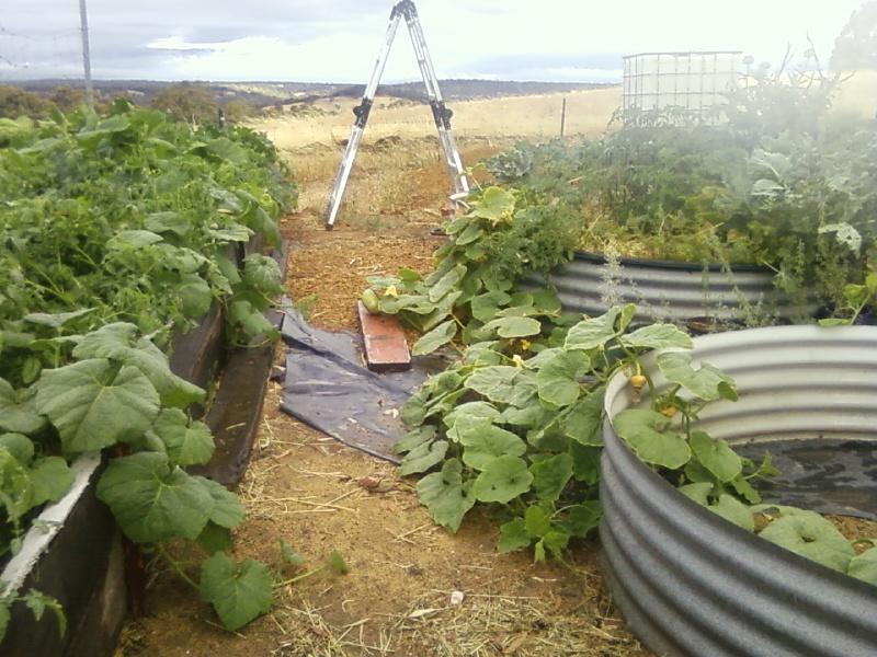 Photo0044 (Medium).jpg