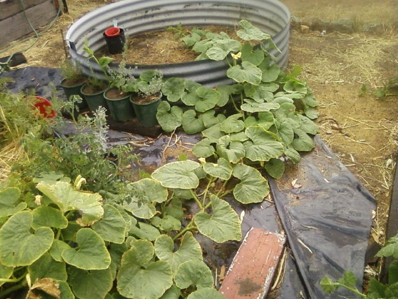 Photo0054 (Medium).jpg