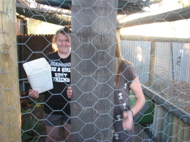 13-11-10 (Medium).jpg