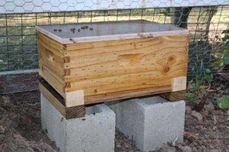 14November2010 003small.jpg