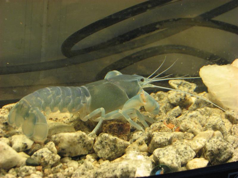 BYF 211110 003 (Medium).jpg