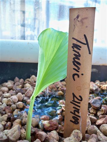 100_0539 (Small).JPG