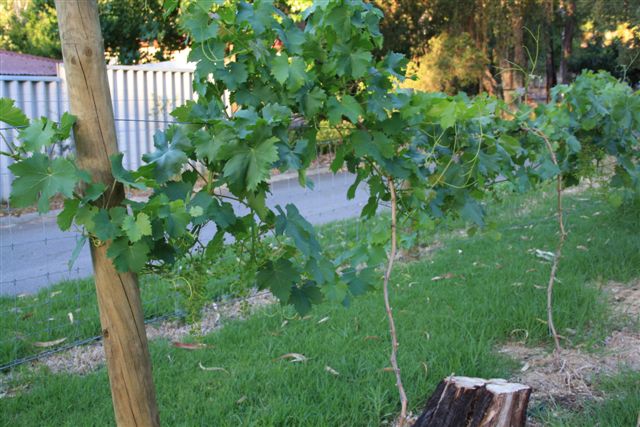 24November2010 019.jpg