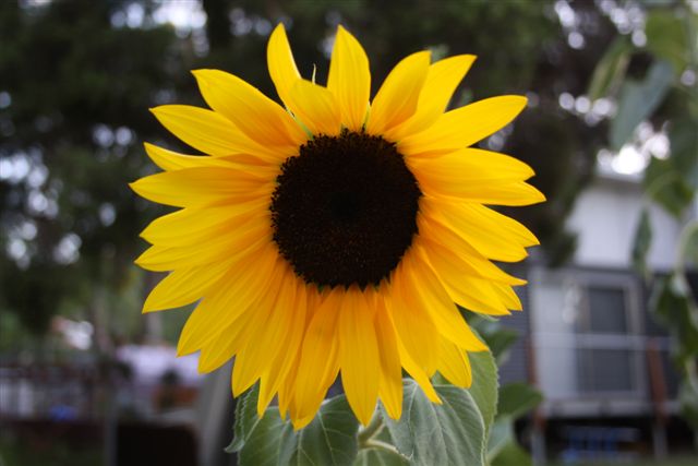 24November2010 021.jpg