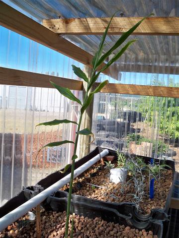 100_0540 (Small).JPG