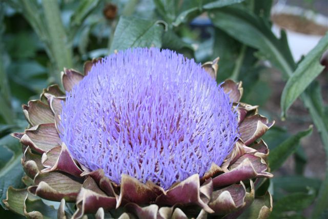 24November2010 001.jpg