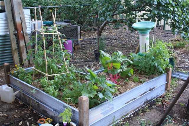 24November2010 004.jpg