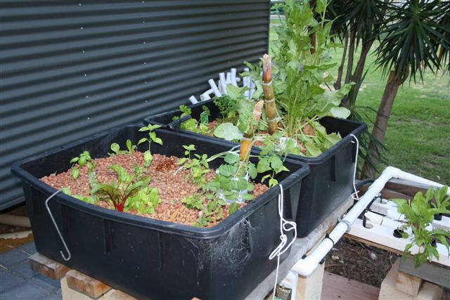 24November2010 016.jpg