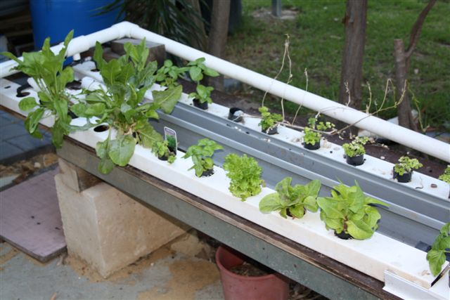 24November2010 014.jpg