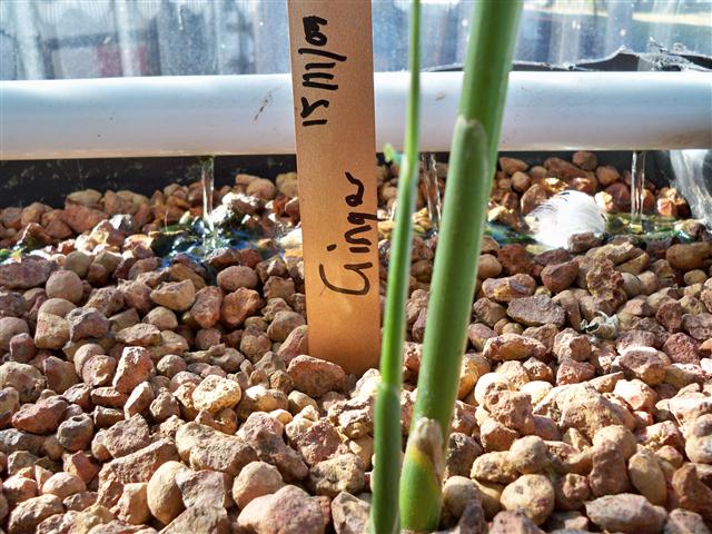 100_0541 (Small).JPG