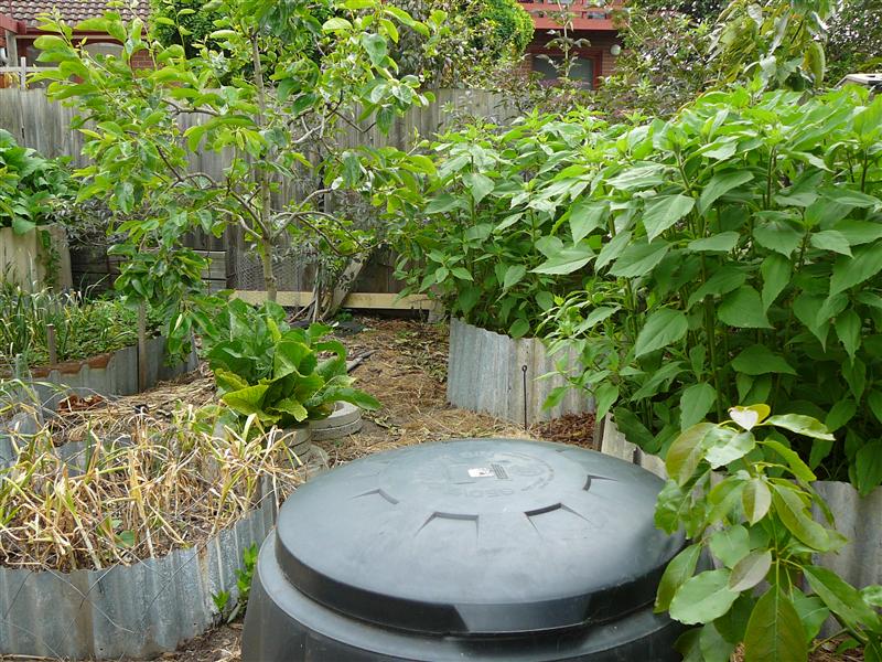 P1040492 (Custom).JPG