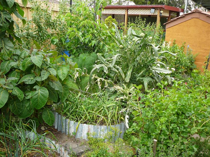 P1040494 (Custom).JPG