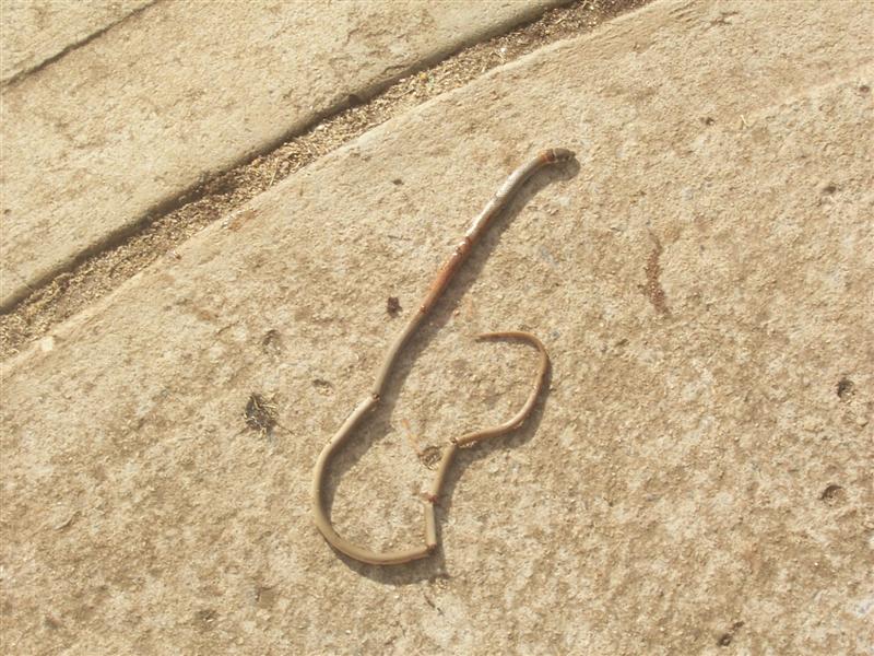 16-11-10 005 (Medium).jpg