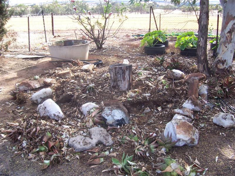 16-11-10 001 (Medium).jpg