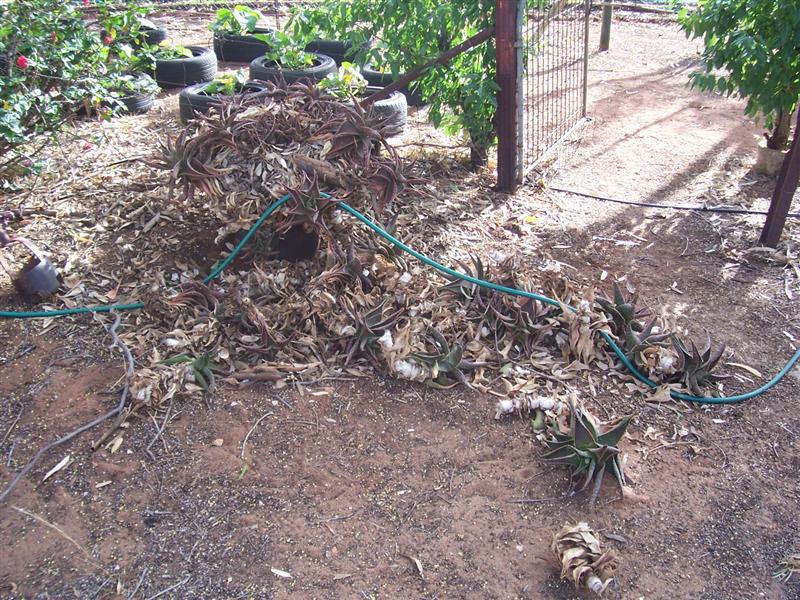 16-11-10 002 (Medium).jpg