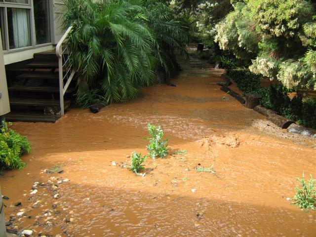 Heavy Rain November 2010 006 (Small).jpg