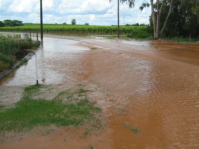 Heavy Rain November 2010 010 (Small).jpg