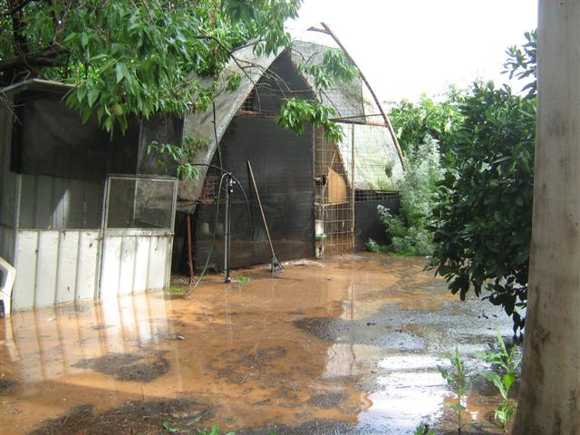 Heavy Rain November 2010 018 (Small).jpg