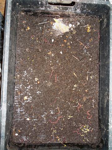 100_0572 (Small).JPG