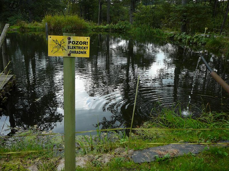 P1030386 (Custom).JPG