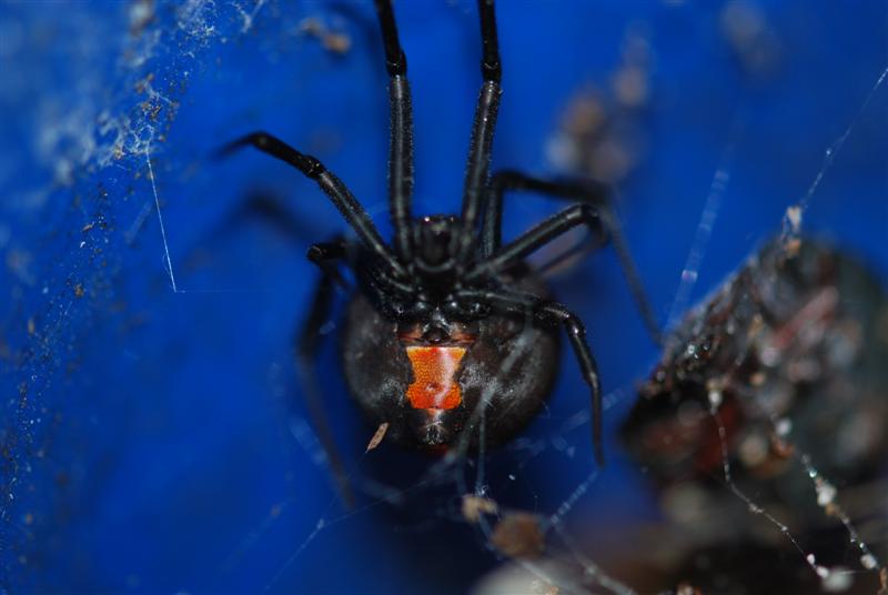 DSC_0309 (Medium).JPG