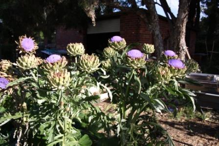 1December2010 025.jpg