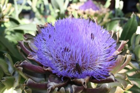 1December2010 001.jpg