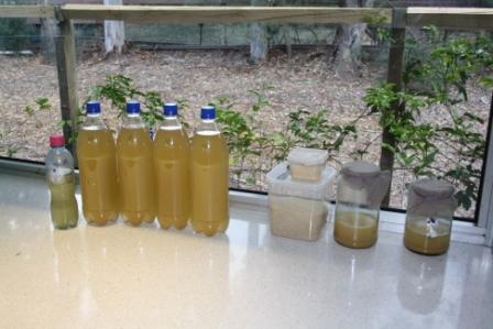 1December2010 027.jpg