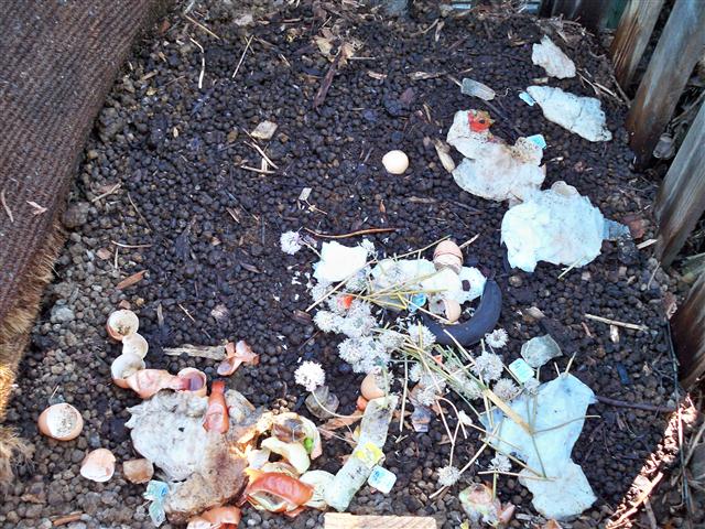 100_0554 (Small).JPG