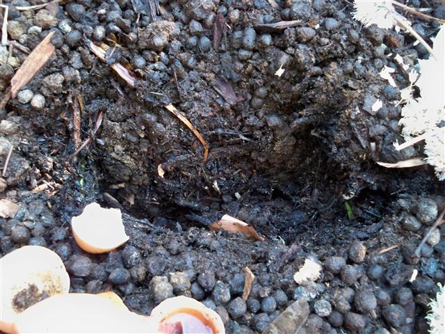 100_0555 (Small).JPG