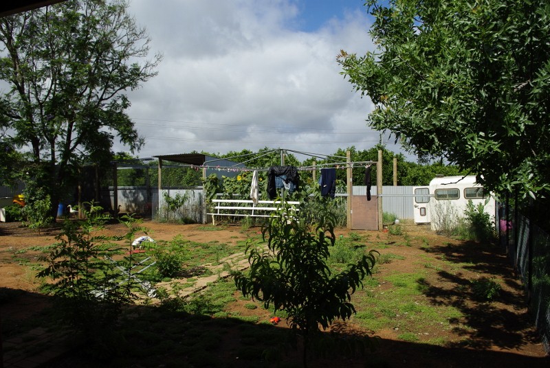 _IGP1995 (800x536).jpg