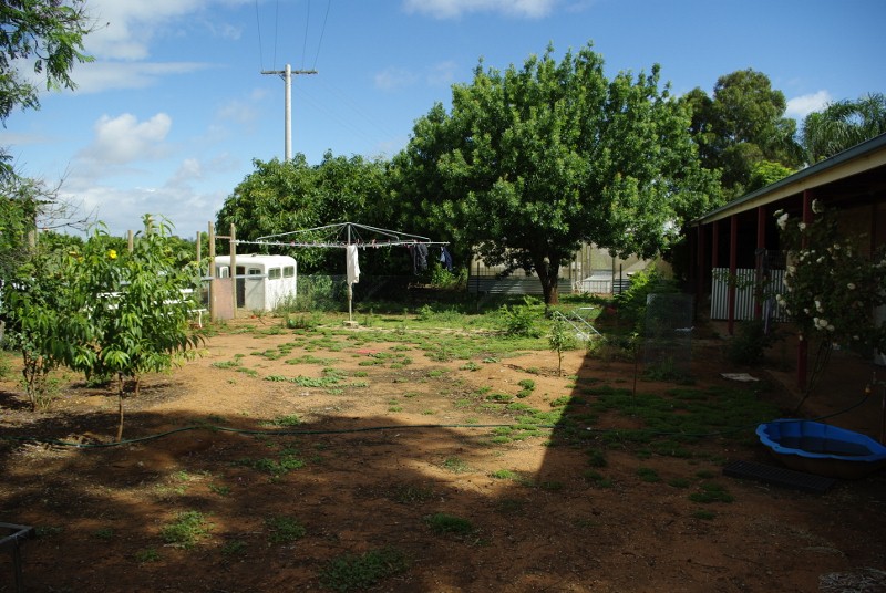 _IGP1997 (800x536).jpg