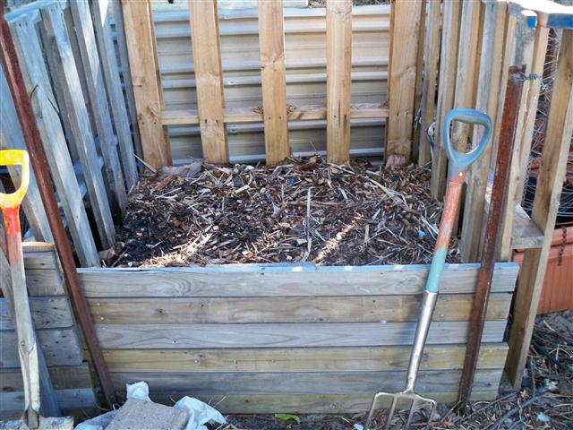 100_0556 (Small).JPG