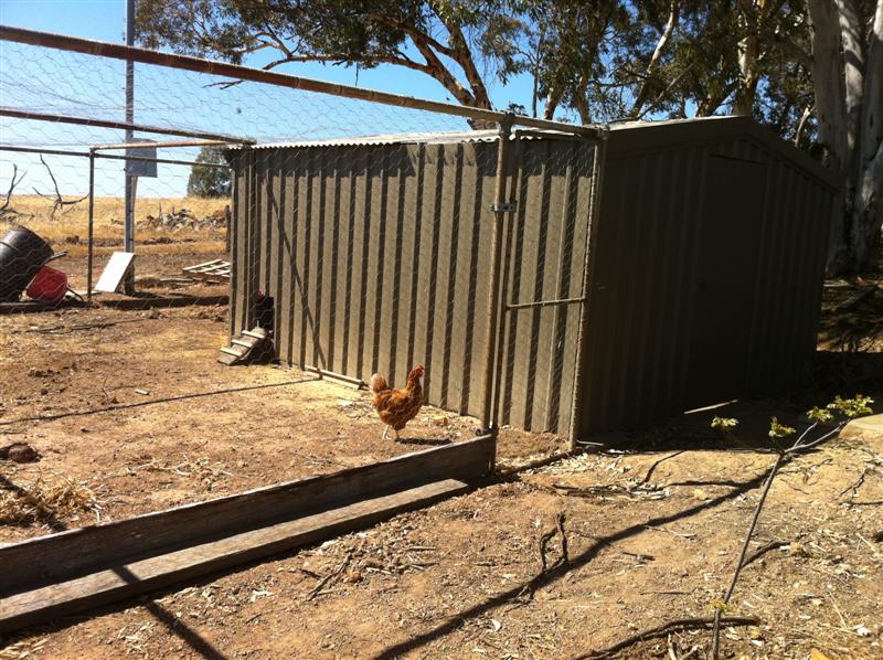 IMG_0242 (Medium).jpg