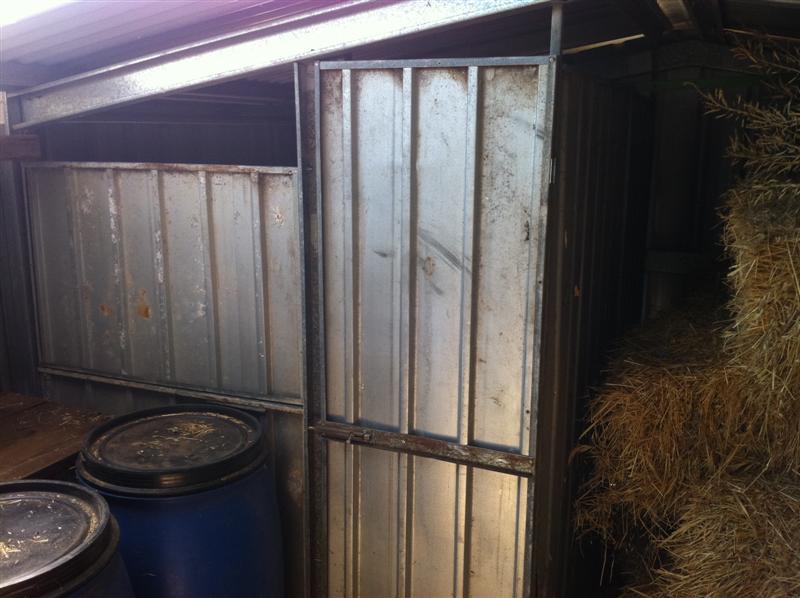 IMG_0244 (Medium).jpg