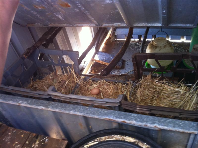 IMG_0247 (Medium).jpg