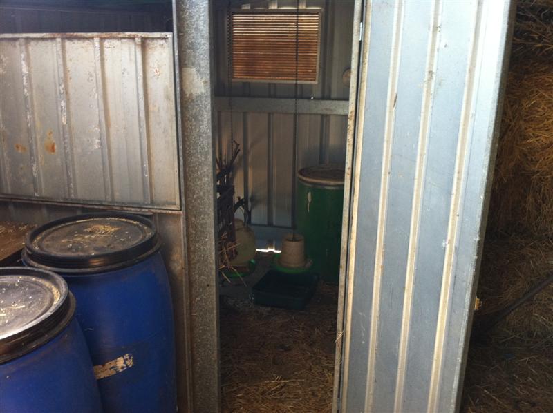 IMG_0248 (Medium).jpg