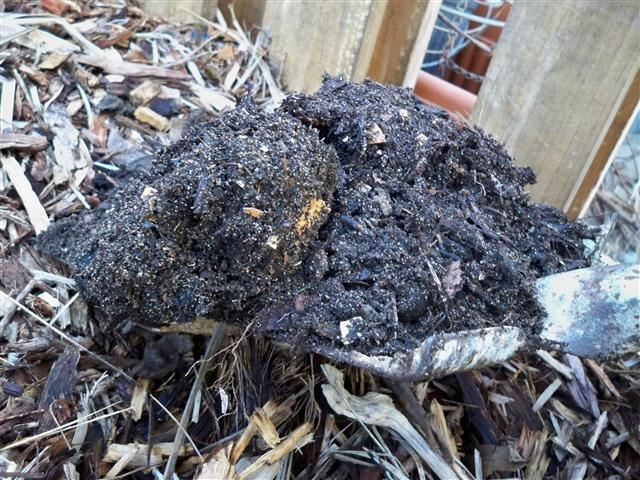 100_0558 (Small).JPG