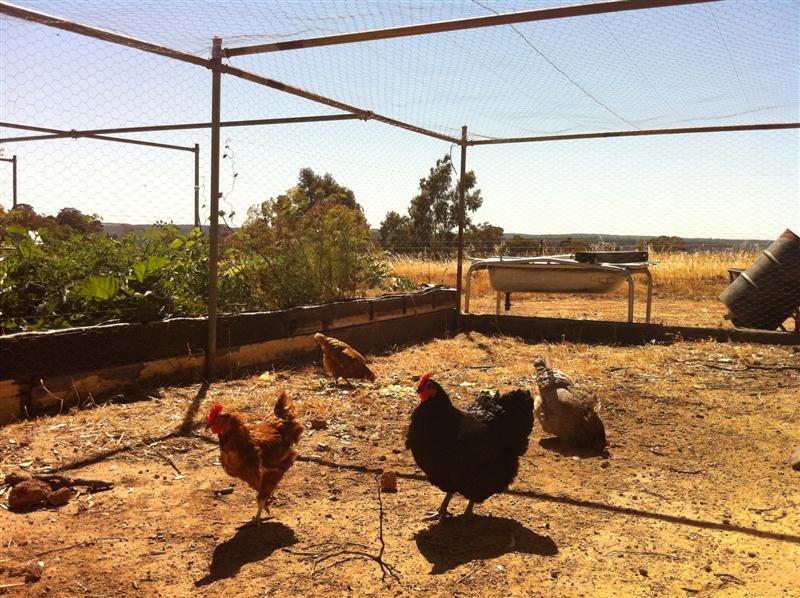 IMG_0262 (Medium).jpg