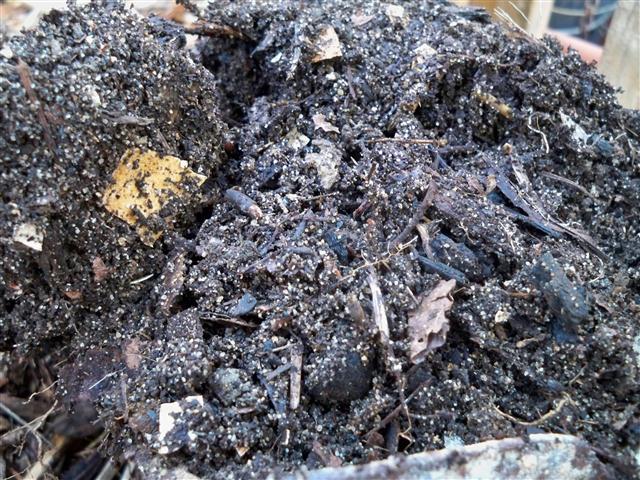 100_0559 (Small).JPG