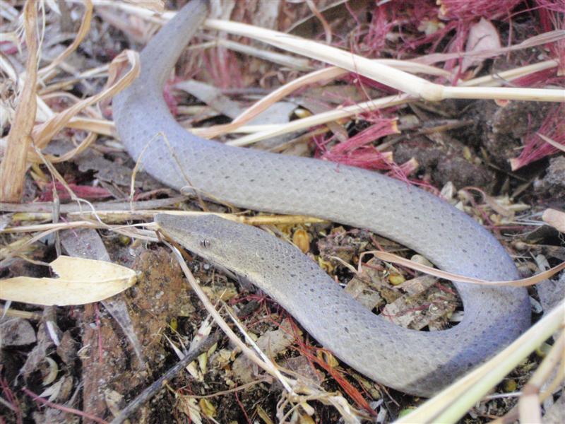 PC130088 (Medium).JPG