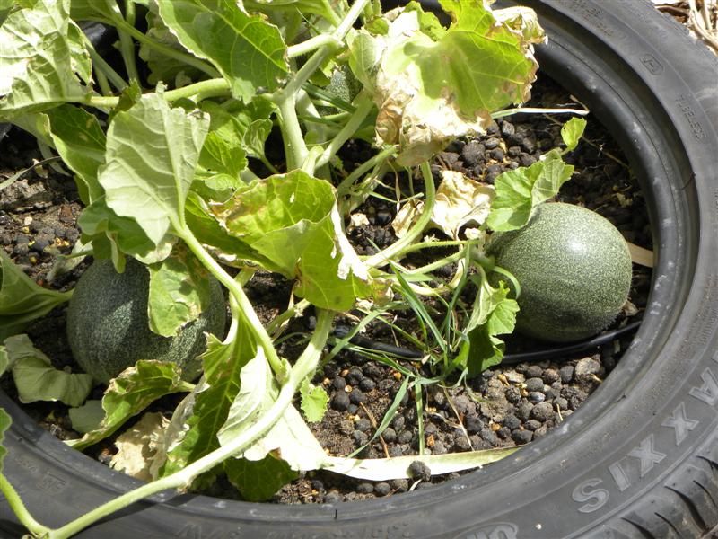 19.12.10 006 (Medium).jpg